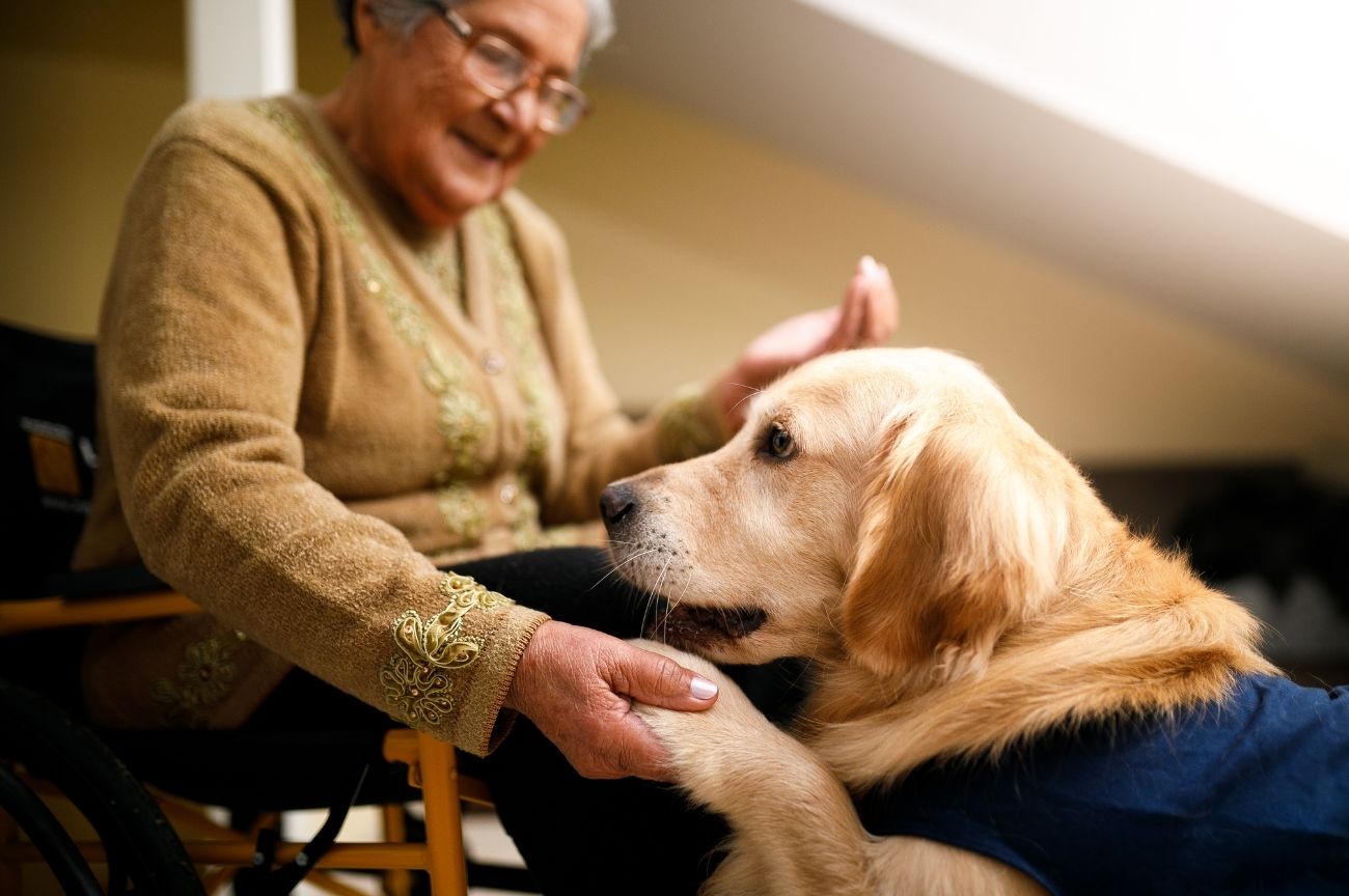 An older woman greets her golden retriever after we cared for her dog during her hospital stay.