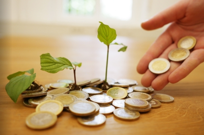 Plants sprouting from coins, symbolising our PAMAS support.