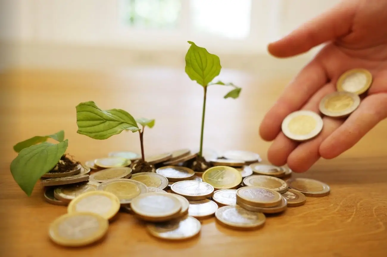 Plants sprouting from coins, symbolising our PAMAS support.