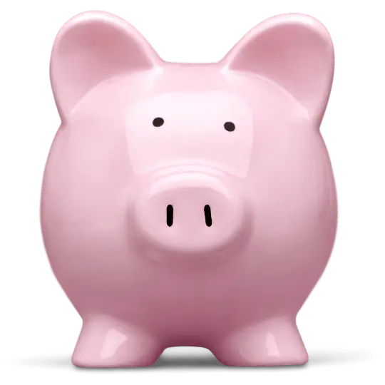 Pink piggy bank representing financial management services offered by PAMAS.