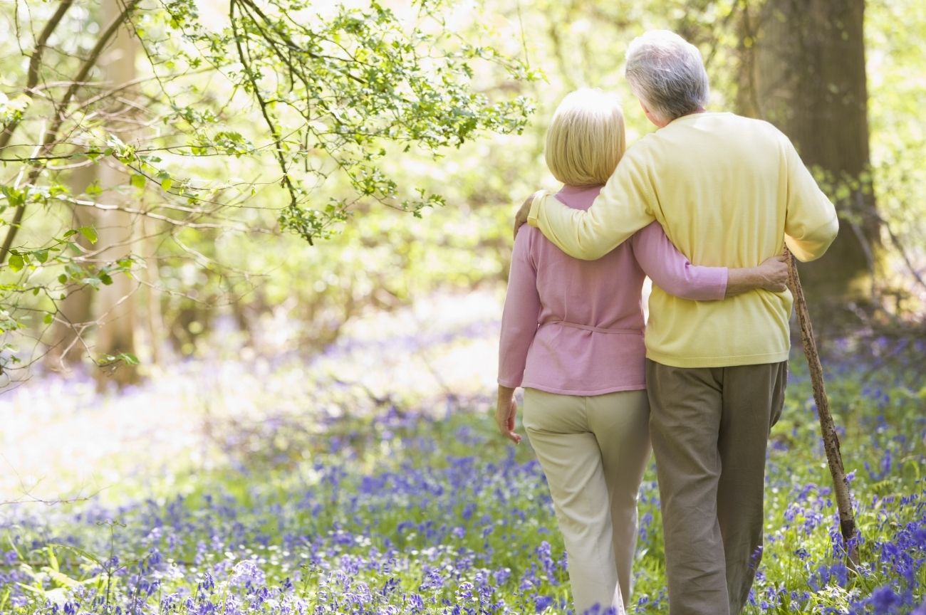 An older couple walk through a field of flowers.